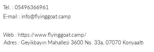 Flying Goat Camp & Hostel telefon numaralar, faks, e-mail, posta adresi ve iletiim bilgileri